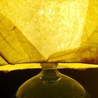 yellow lampshade